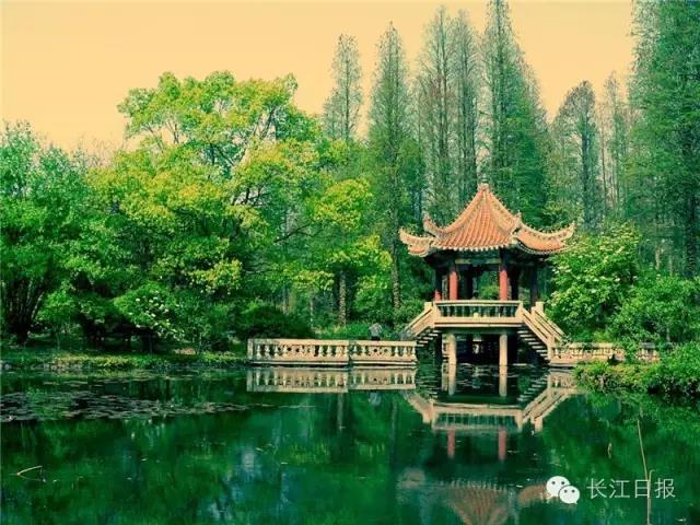 新闻