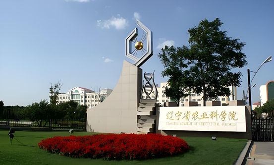遼寧省農(nóng)業(yè)科學(xué)院（遼寧省種質(zhì)資源庫(kù)建設(shè)項(xiàng)目電力外網(wǎng)及箱變工程施工）