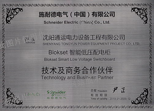Schneider Blokset Intelligent Low Voltage Distribution Cabinet Authorization