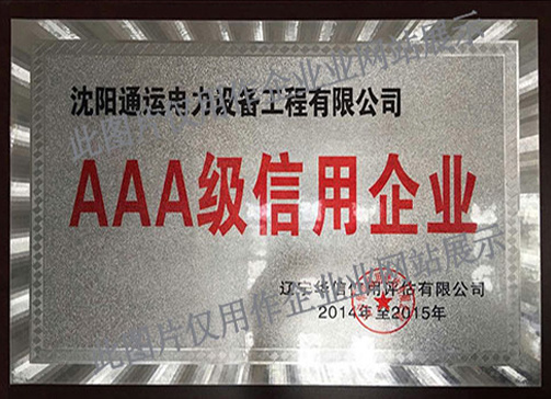 AAA Credit Enterprise for the Year 2014-15