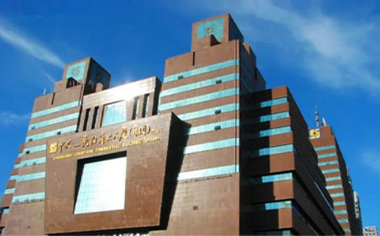 Zhongxing Commercial Building Project Zhongxing Commercial Building Project