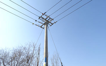 10 kV Agricultural Network Measurement and Transformation Project in Xiuyan County, Anshan