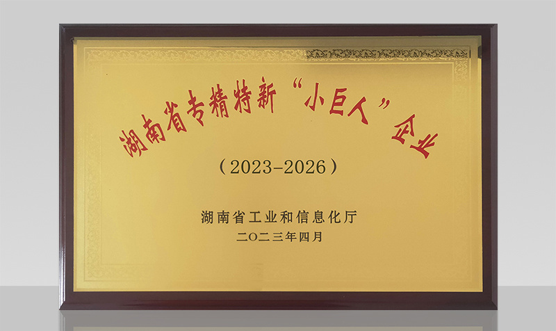2023年 2023年