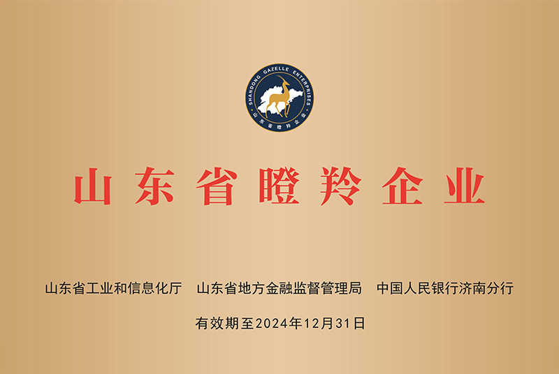 公司荣誉