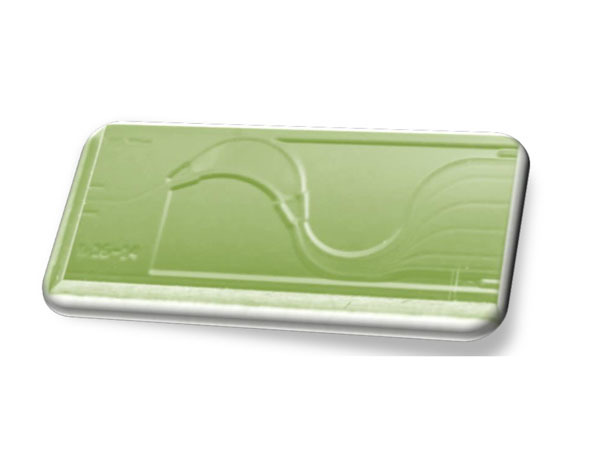 AWG chip