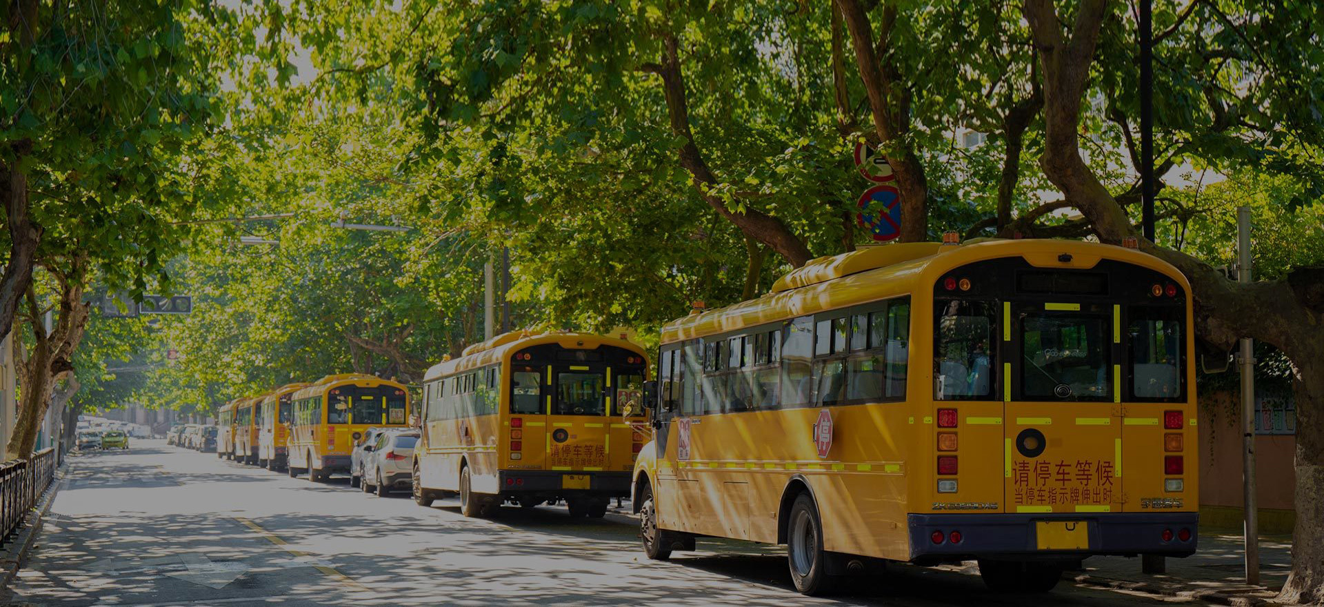 EDUCATION SECTOR