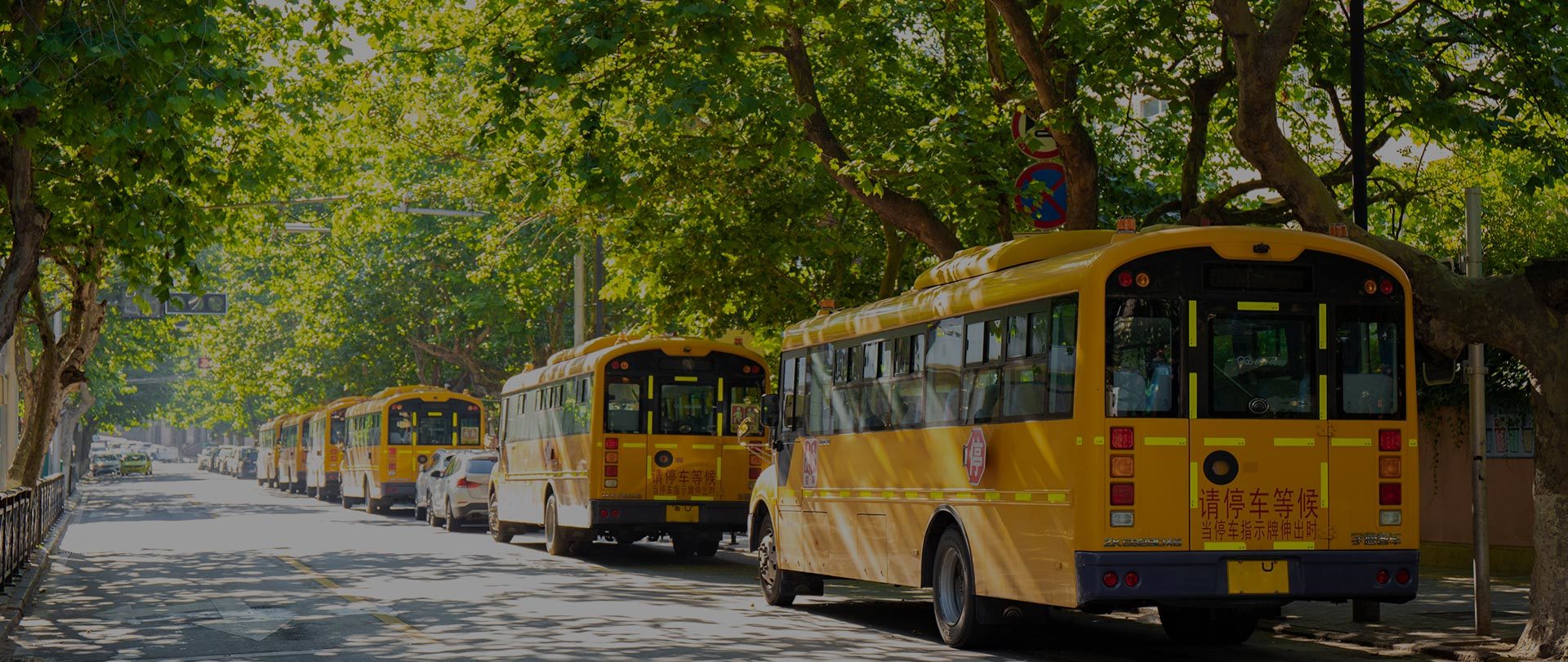 Education sector