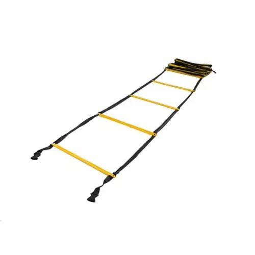 Agile Ladder