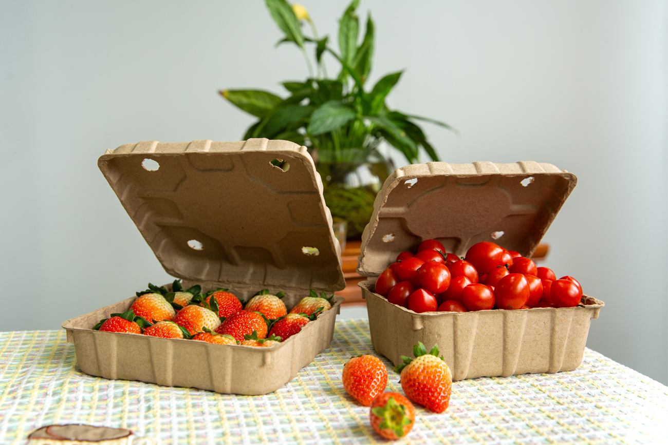 Fiber Moled Dry Pressed Fruit Boxes