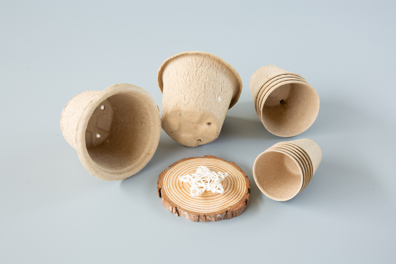 Fiber Molded Biodegradable Seeding Cup