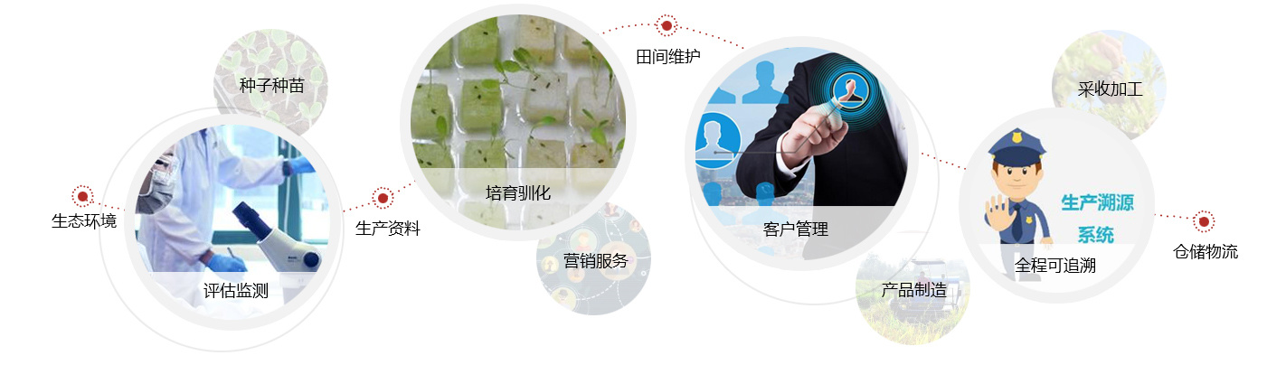 圖片名稱 圖片名稱