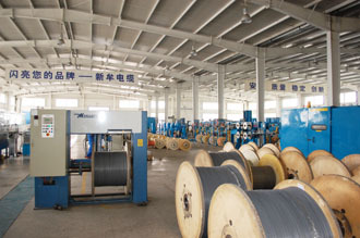 xinmu xinmu