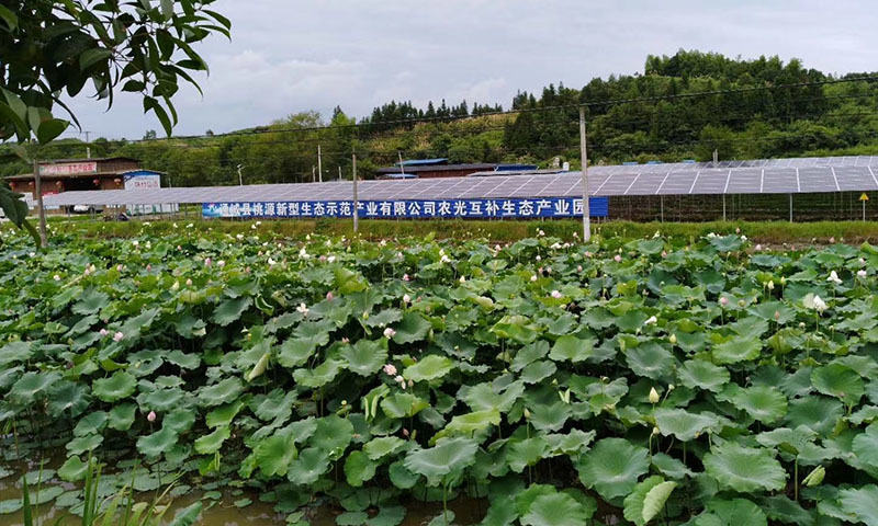 Tongcheng County 1MW Agricultural Solar Complementary Power Station