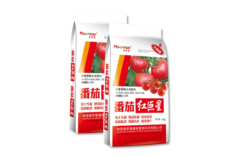 含腐植酸水溶肥料 番茄紅巨星