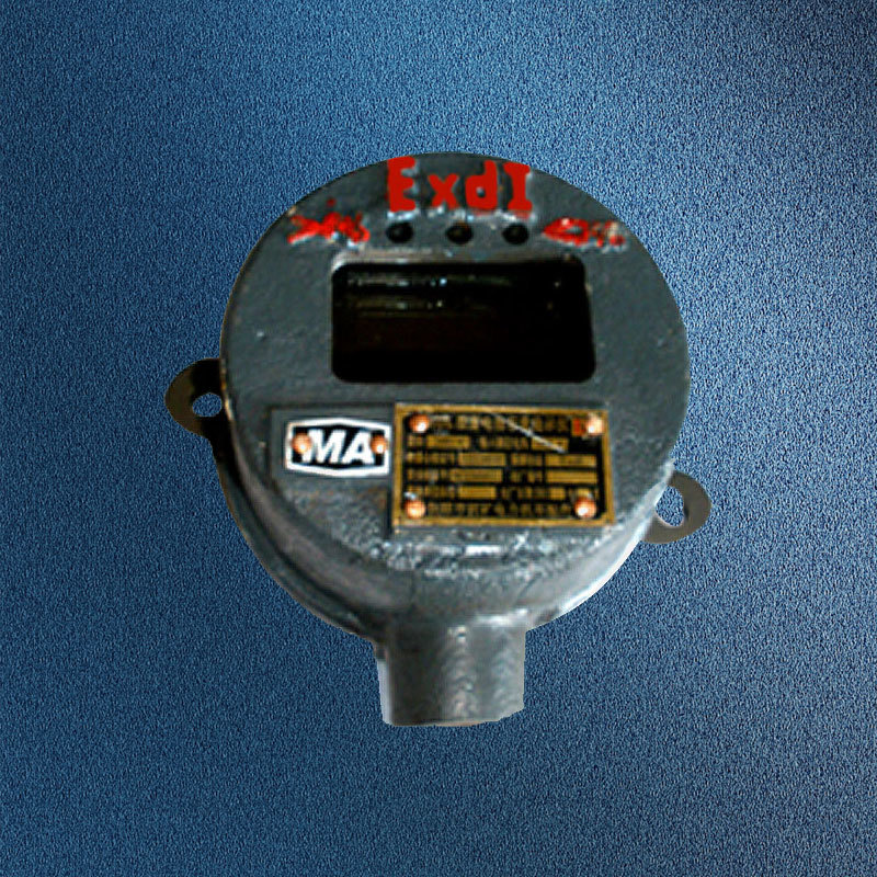 YBDL-0.1/192 礦用隔爆型蓄電池容量顯示儀