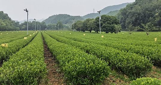 港澳宝66039打开