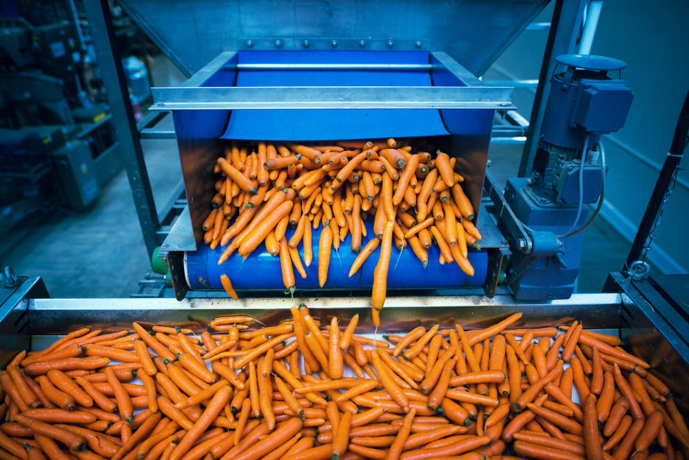  Top 10 Food Processing Headhunting Companies in 2025 