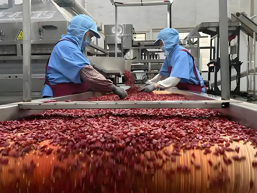 Top 10 Seasoning Headhunting Firms of 2025 