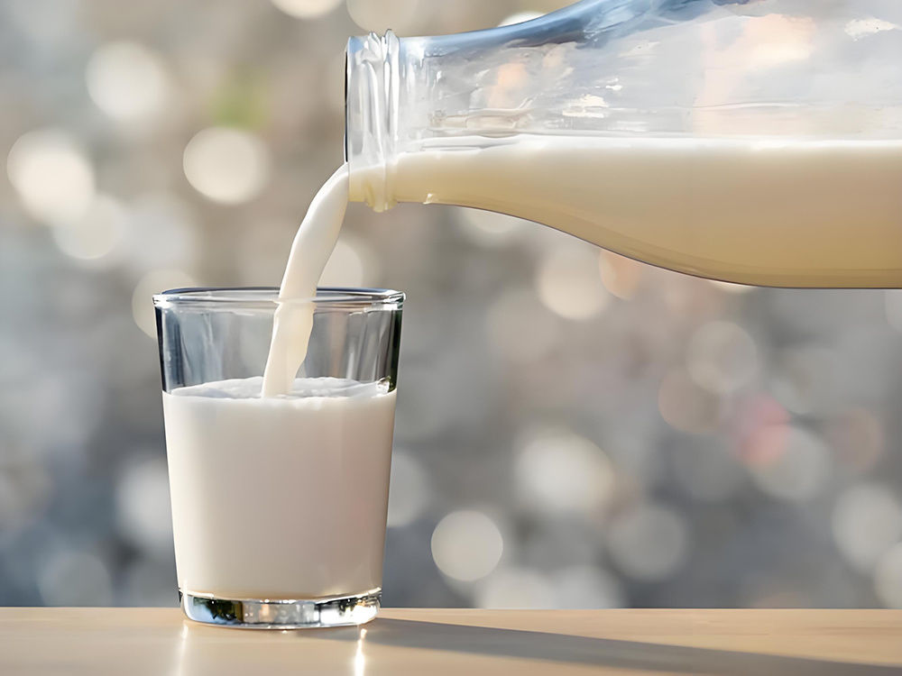  Top 10 Milchindustrie-Headhunter-Unternehmen 2025 