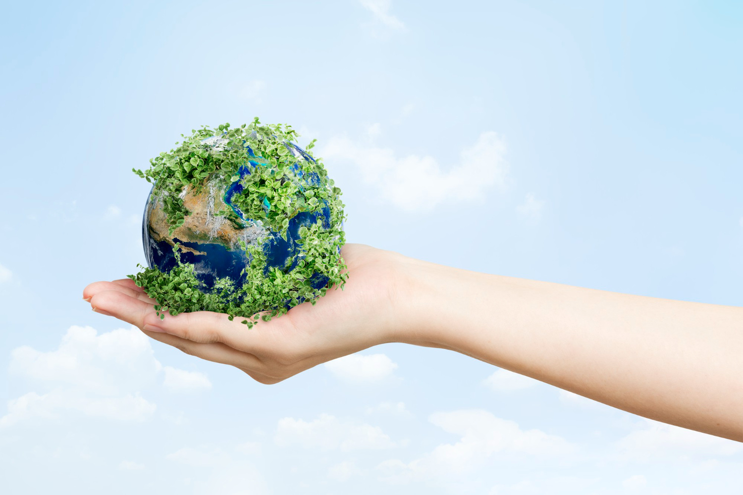  Top 10 Personalberatungsunternehmen für Energieeffizienz und Umweltschutz 2025 