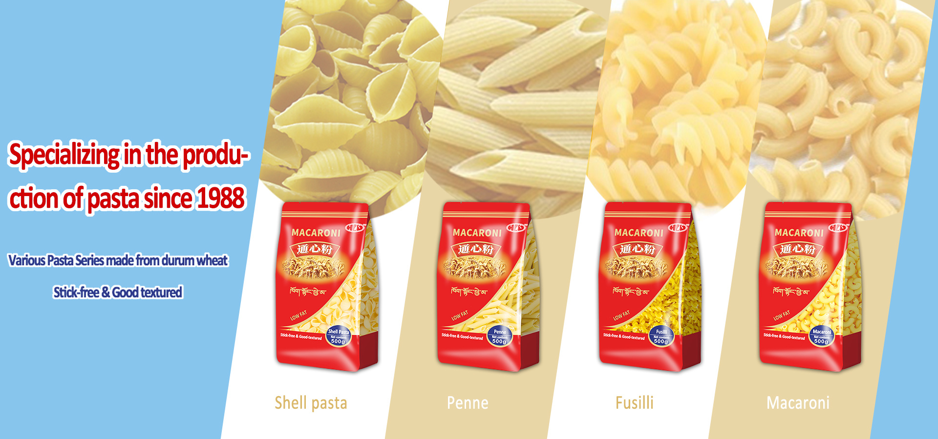 Various Pasta Series made from durum wheat