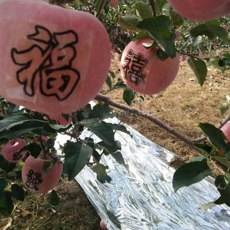 Отражающая пэ плёнка