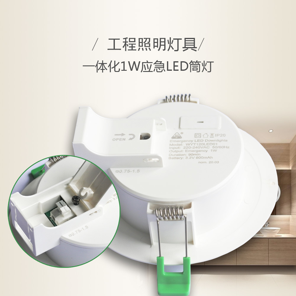 一體化1W應(yīng)急LED筒燈
