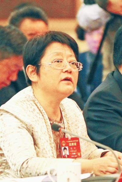 十三五期间河南建成米字形主通道 省辖市都通高铁