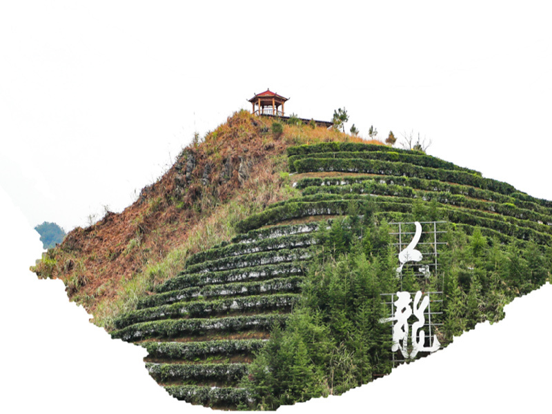 生產基地二