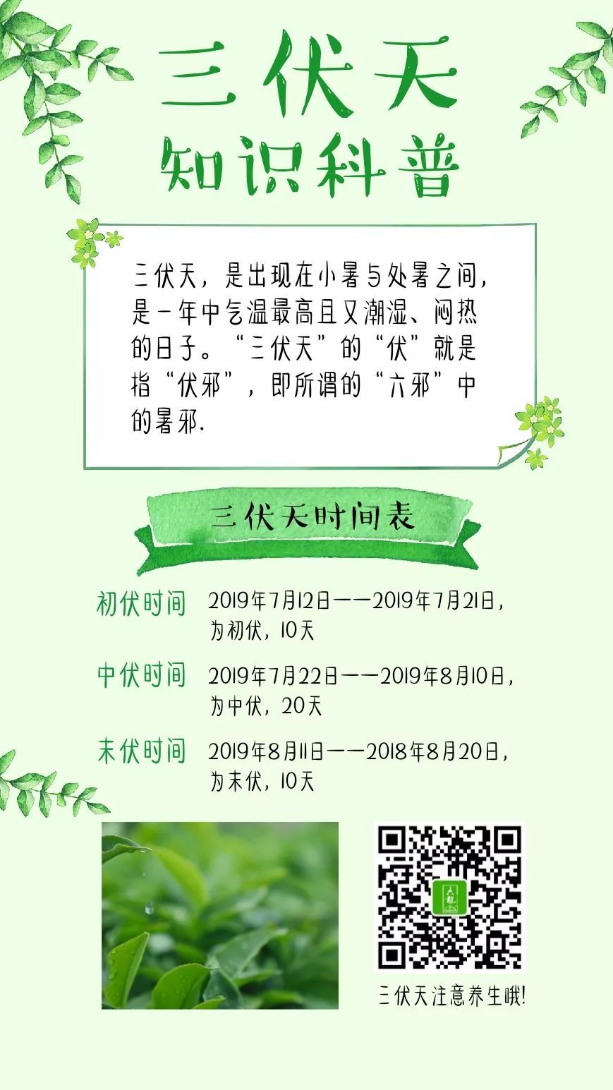 六龍茶業