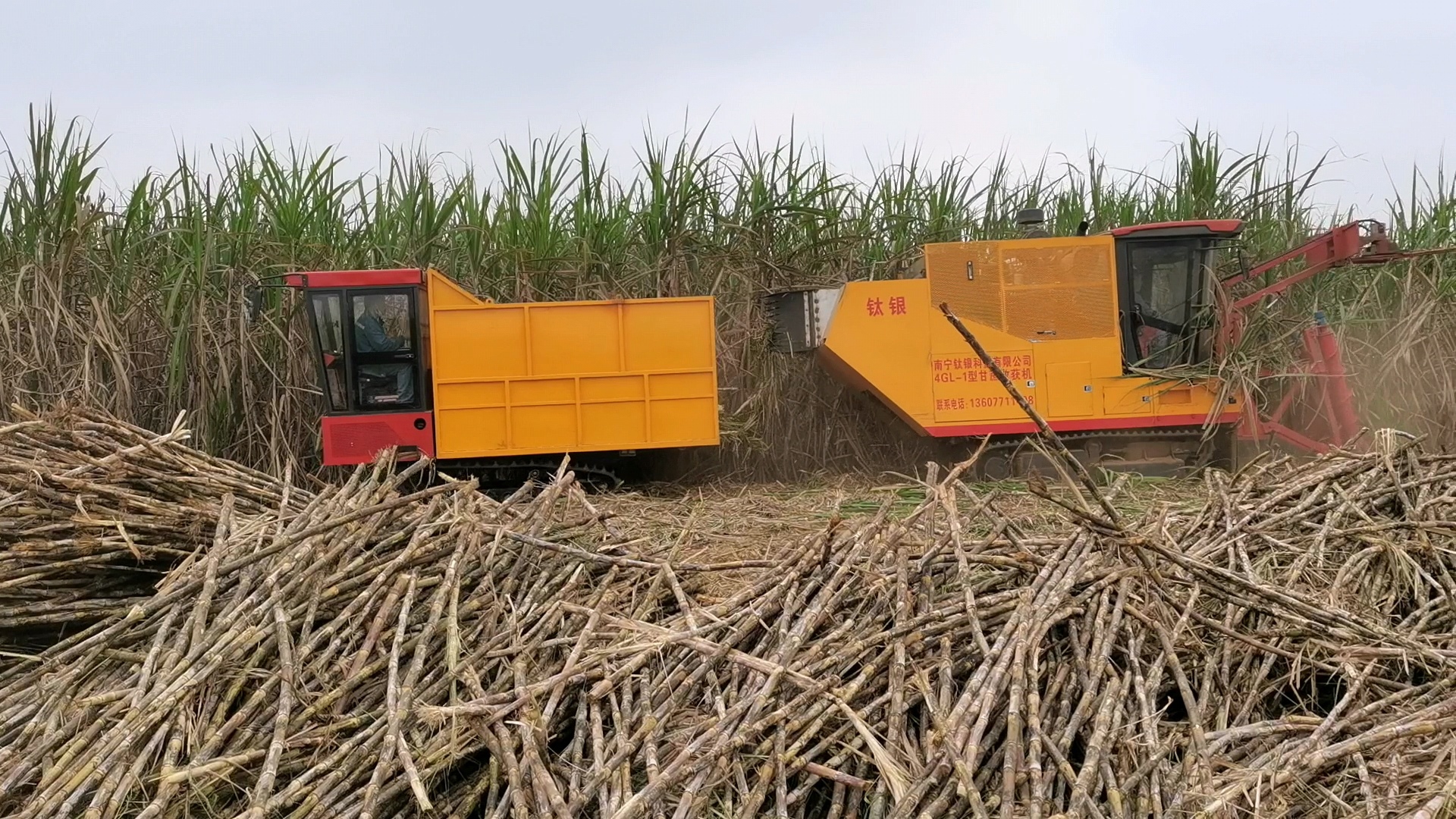 4GL-1 Sugarcane Harvester