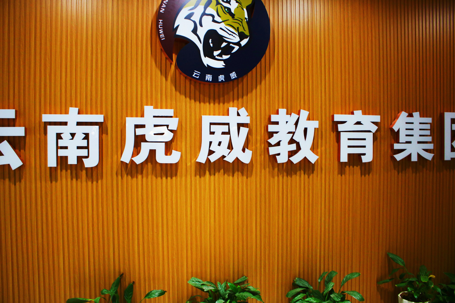 云南虎威教育集團(tuán) 云南虎威教育集團(tuán)