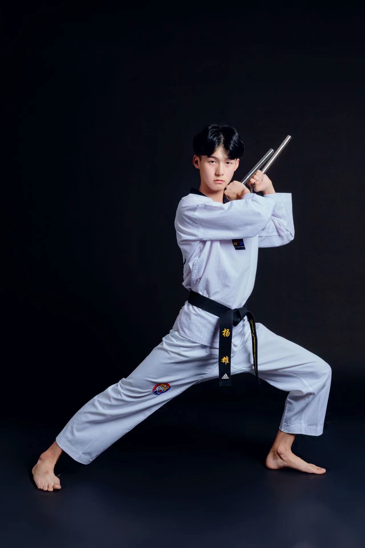 楊雄