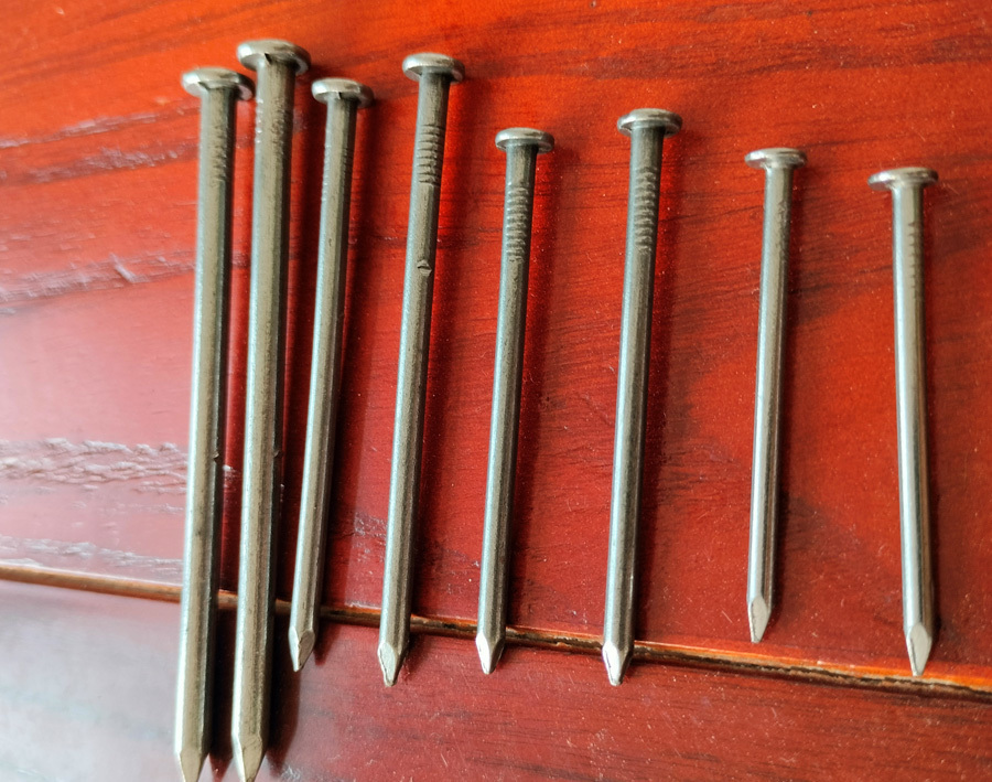 Polished ordinary nails