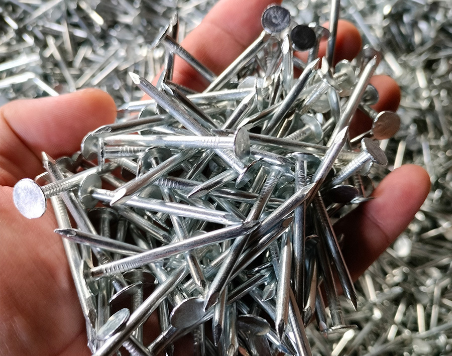 Electro-galvanized ordinary nails
