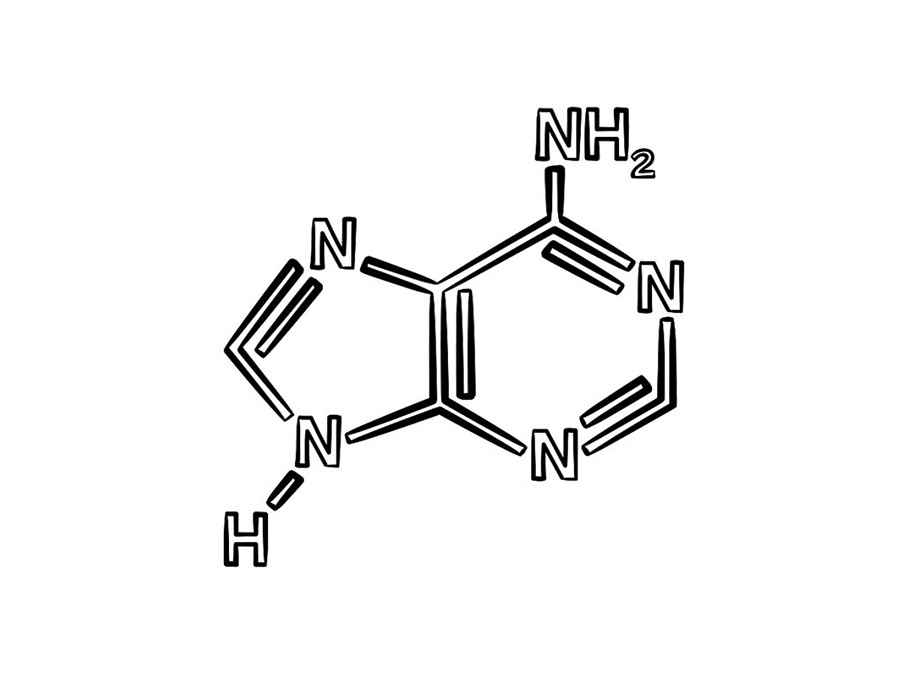 Bisphenol A