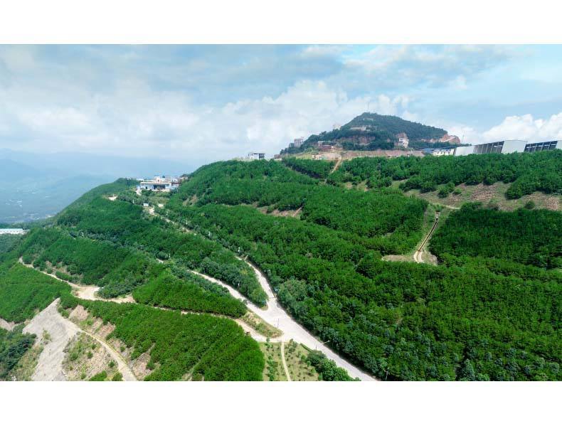 Todas las minas de zhejiang alcanzarán el estándar de mina verde antes de finales de 2020