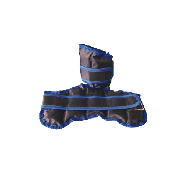 Ankle/Wrist Weight