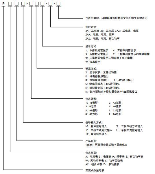 P17009系列可编程安装式数显电表