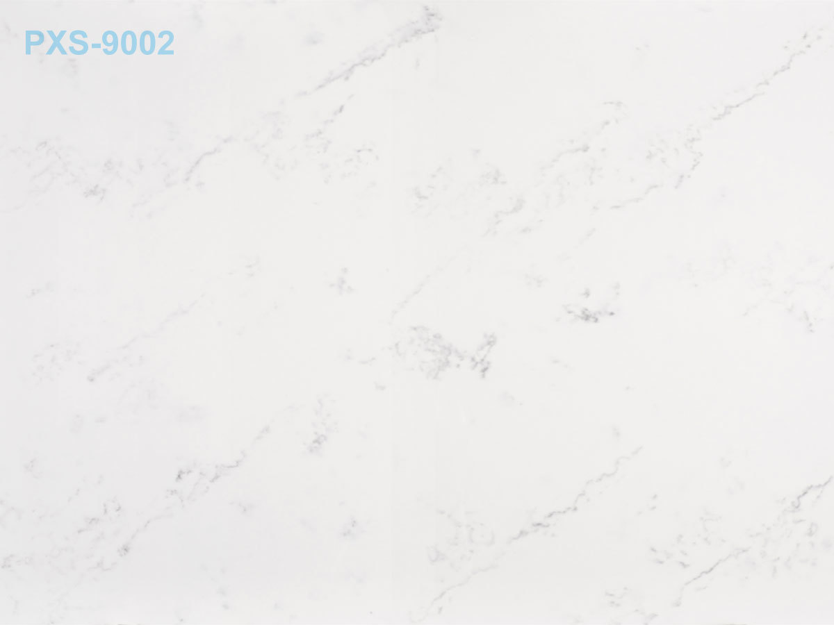 PXS-9002