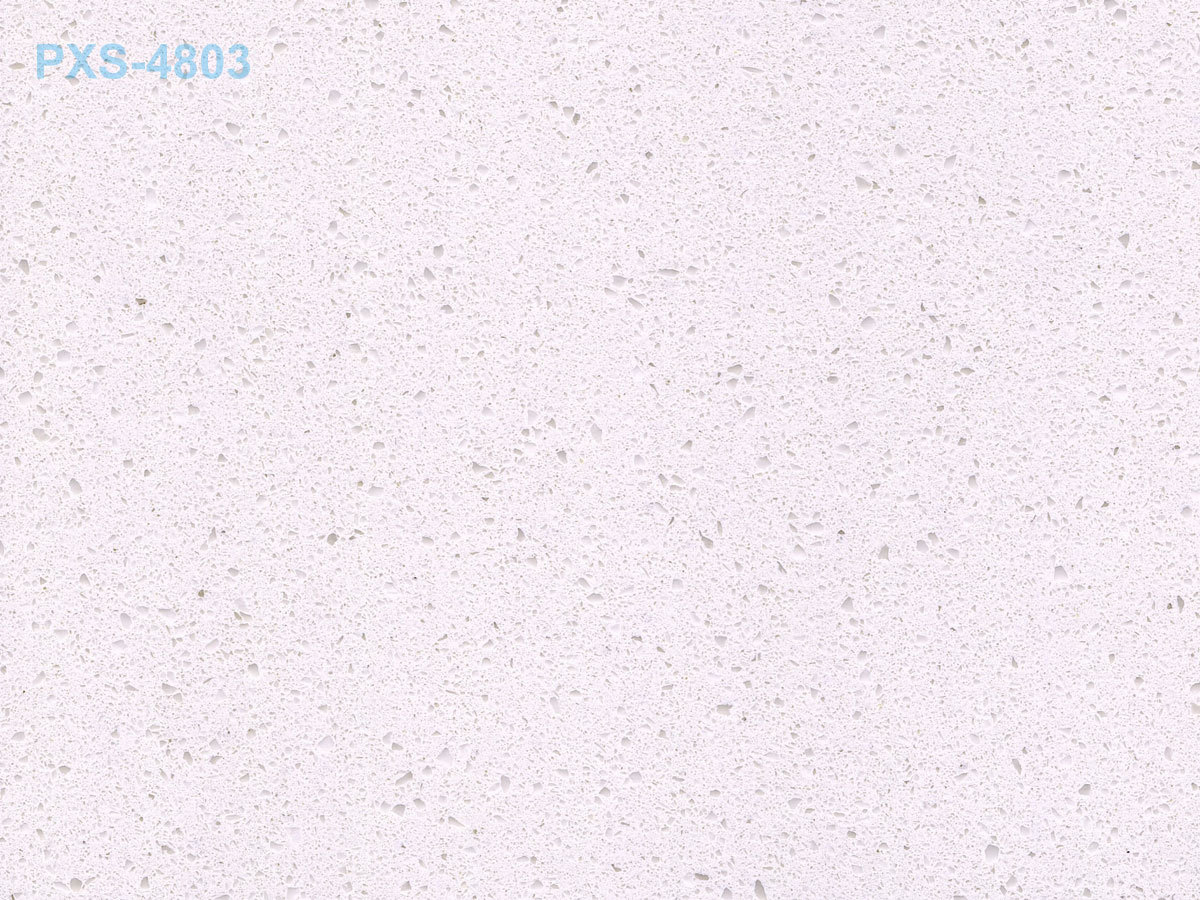 PXS-4803