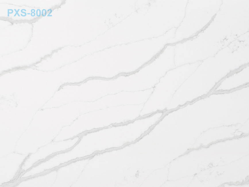 PXS-8002