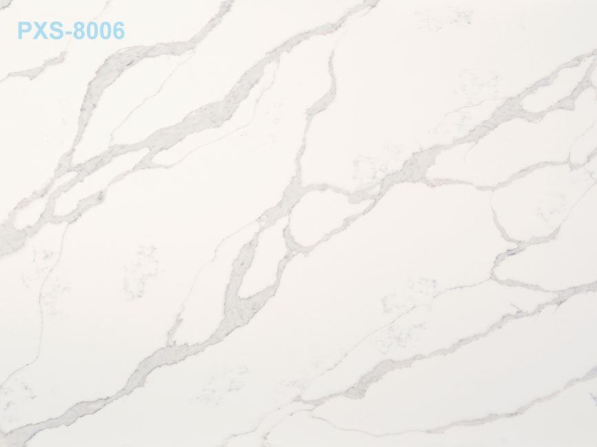 PXS-8006