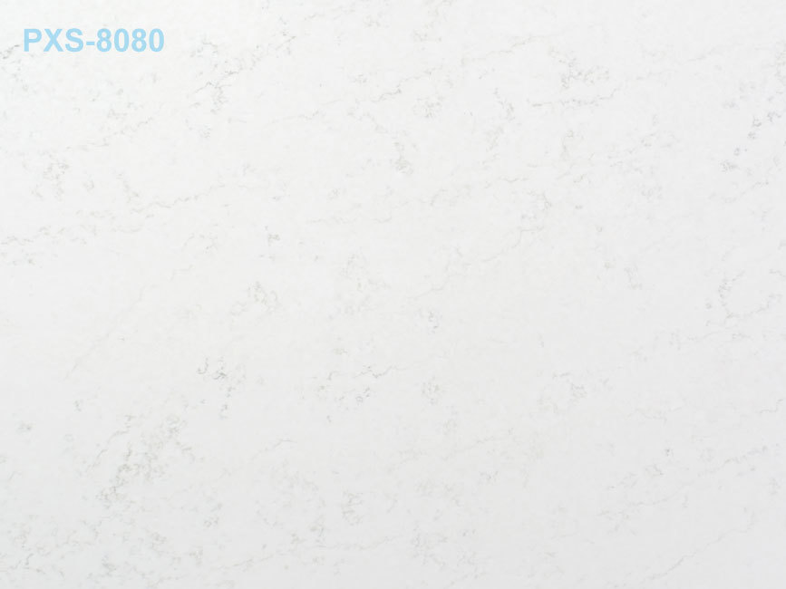 PXS-8080