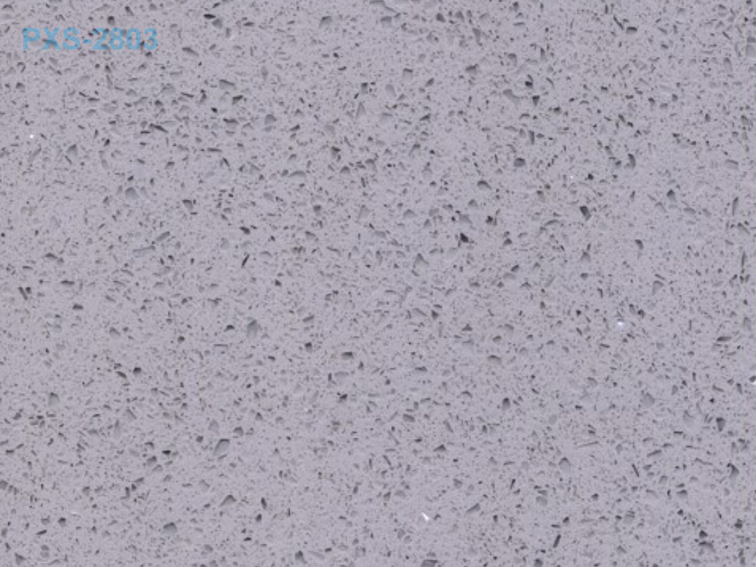 PXS-2803