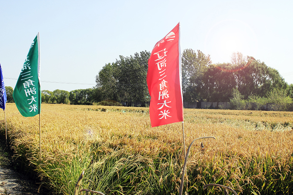 種植基地