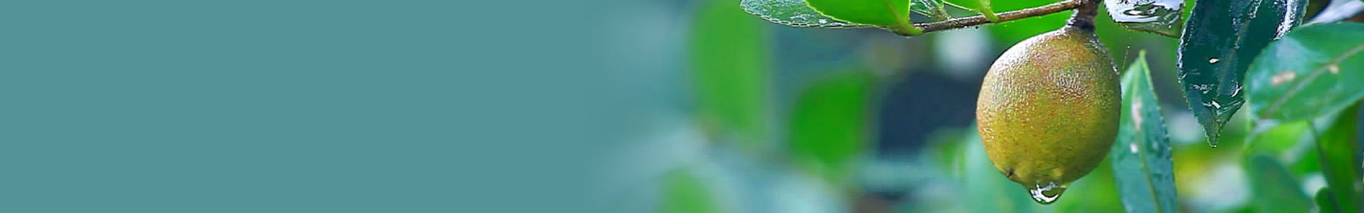 關于我們