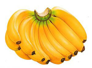 Banana Essence
