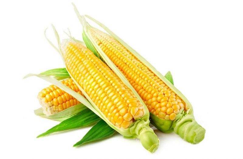 Sweet corn Essence