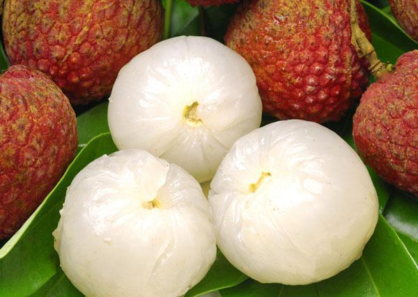 Litchi Essence